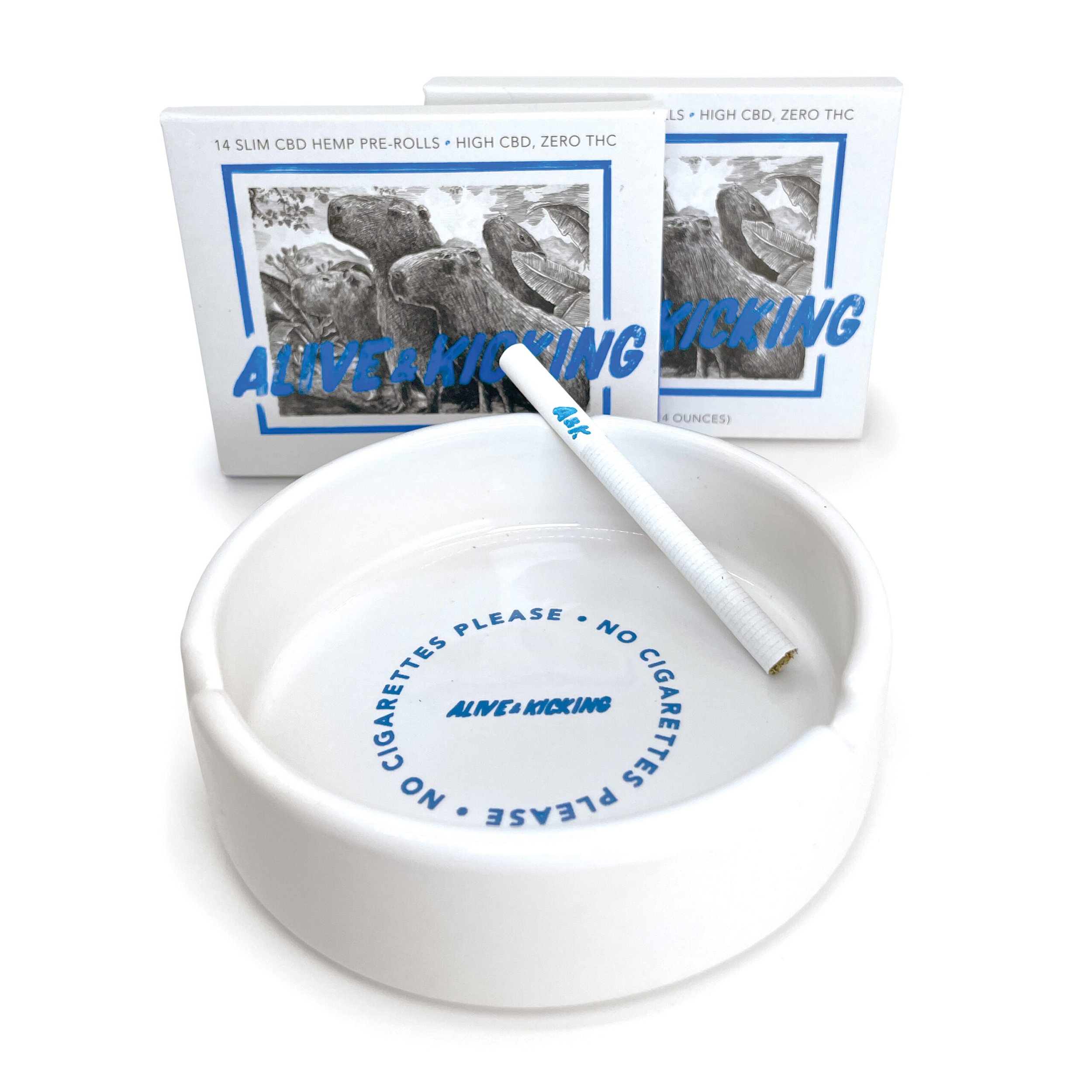 Ashtray product