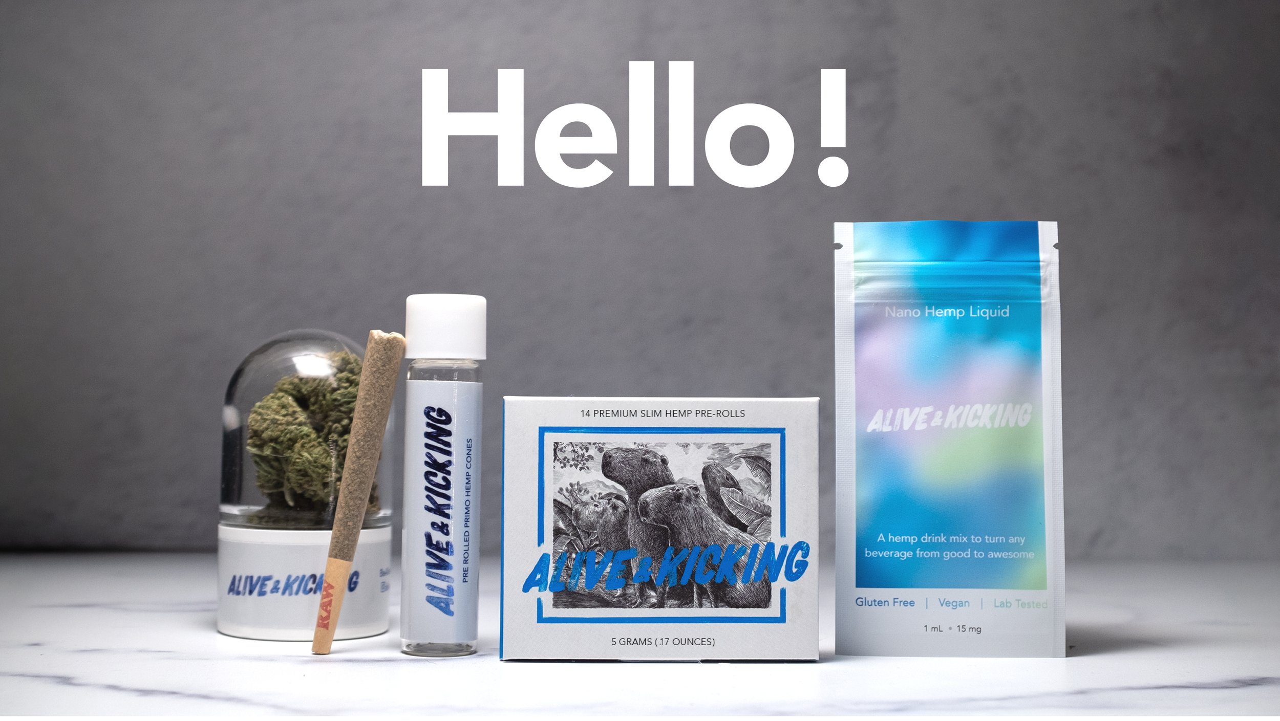 Alive & Kicking brand board 1