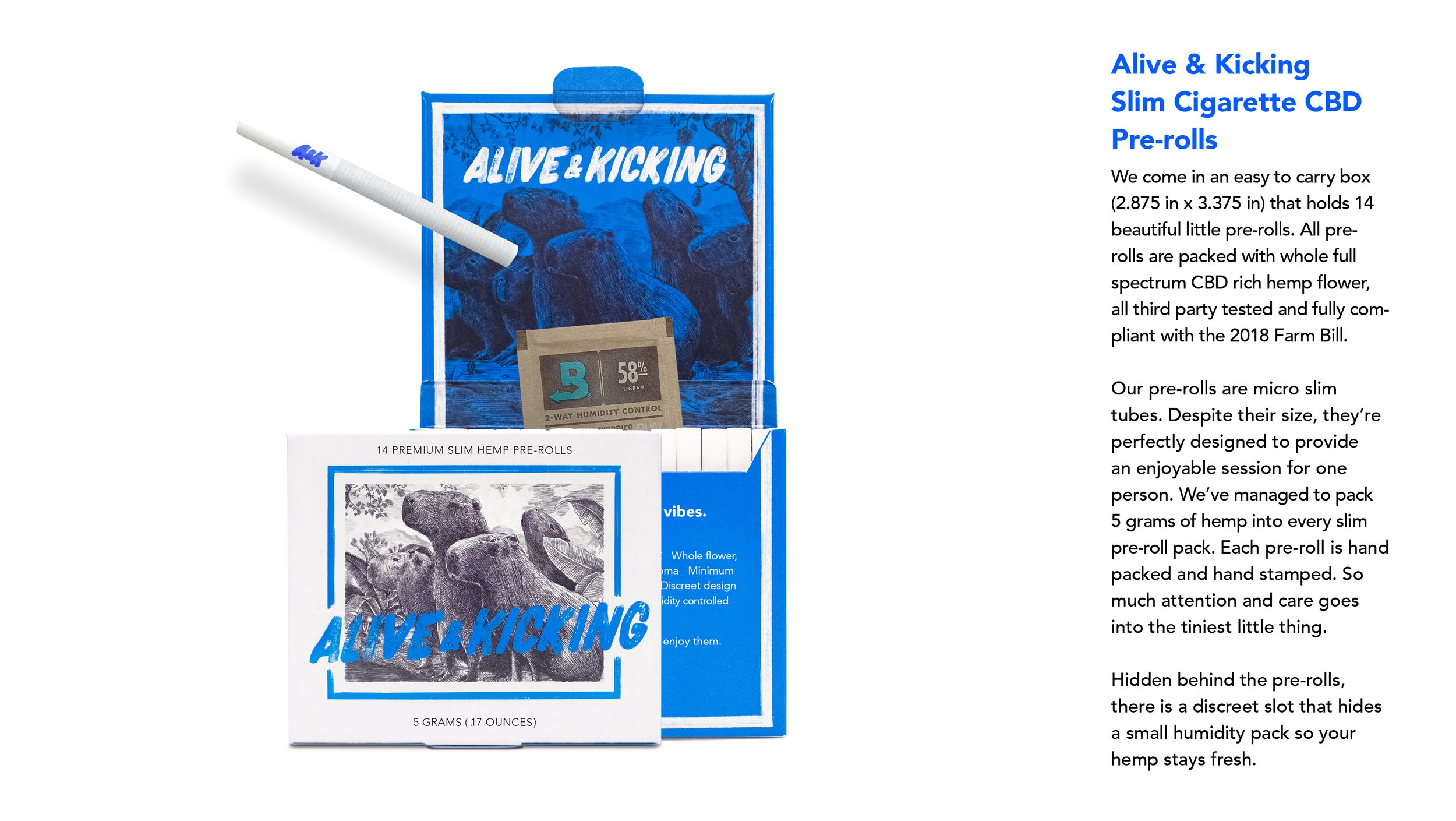 Alive & Kicking brand board 5